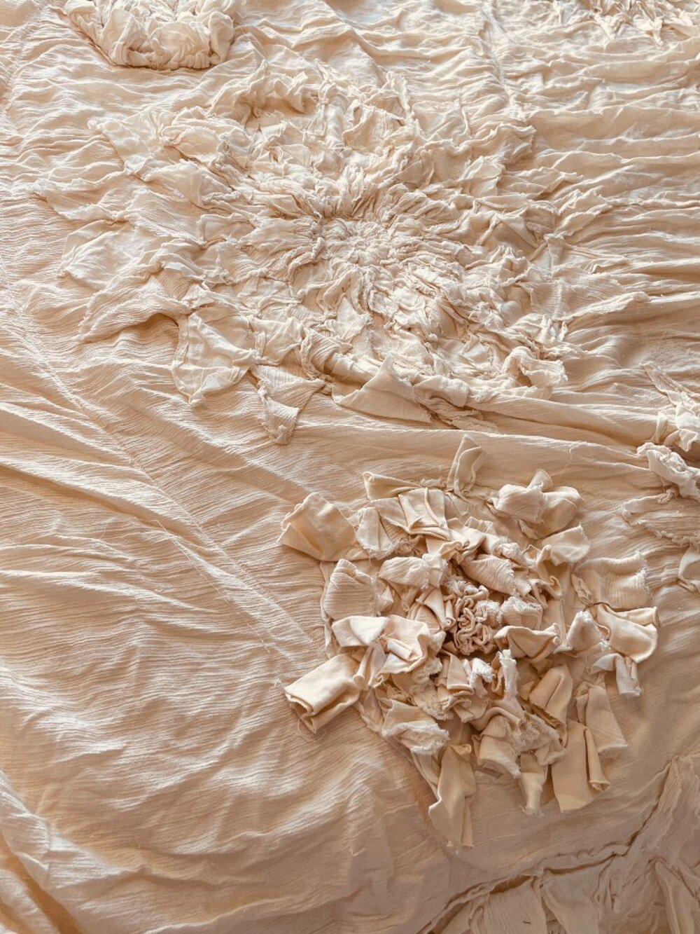 Anthropologie Georgina Queen Duvet Cover, Dust Ruffle, & 2 European Pillow Shams